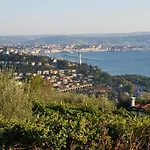 Cerila Trieste