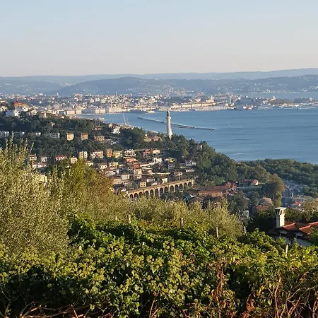 Cerila Trieste