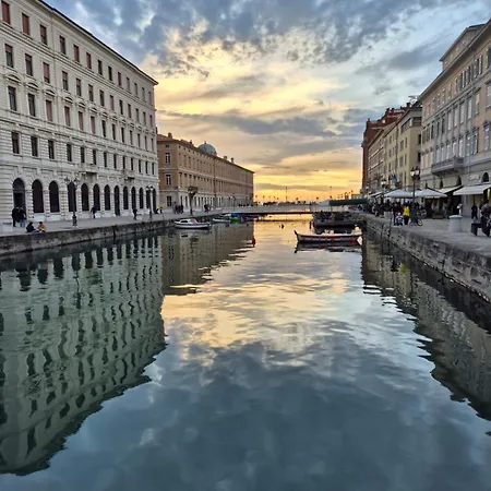 Cerila Trieste