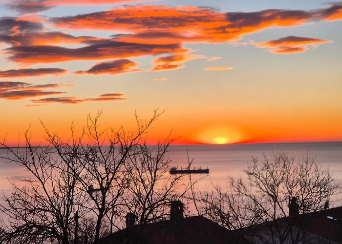 Cerila Couette-café