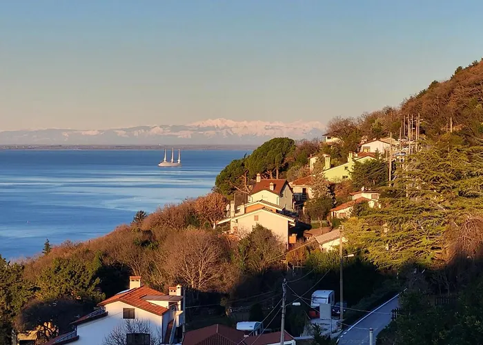 Cerila Couette-café